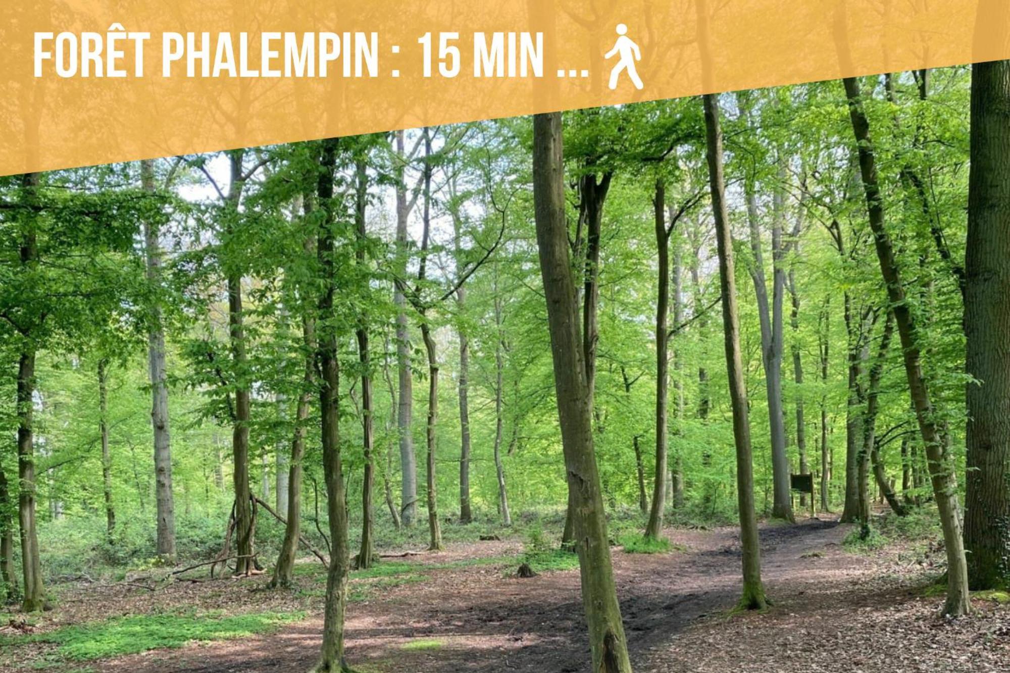Gite Le Duplex - 5Min De La Gare Vers Lille-Lens-Arras Phalempin 외부 사진